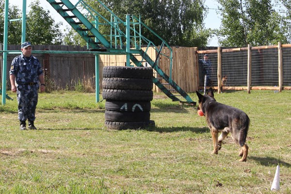 В Тверской области прошли соревнования кинологов и их подопечных собак