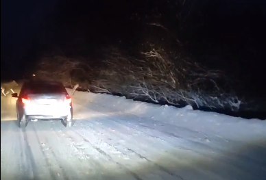 Житель Тверской области предупредил водителей о перебегающих дорогу лосях