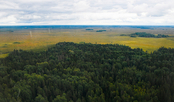С начала сезона в Тверской области ликвидировали 17 лесных пожаров 