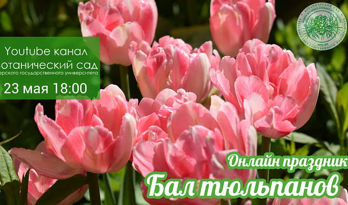 «Бал тюльпанов» пройдет в Ботаническом саду Твери в режиме онлайн
