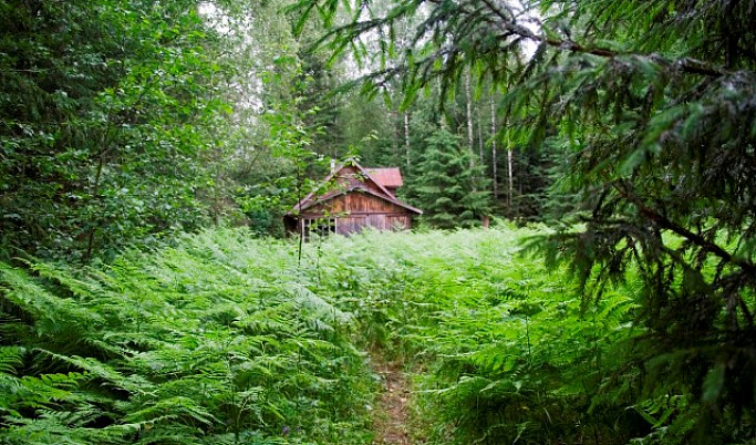 В 2021 году Центрально-лесной государственный природный биосферный заповедник в Тверской области отметит 90-летний юбилей 