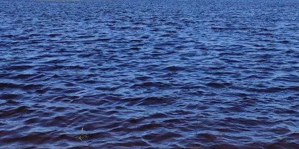 В Тверской области за выходные утонули двое мужчин