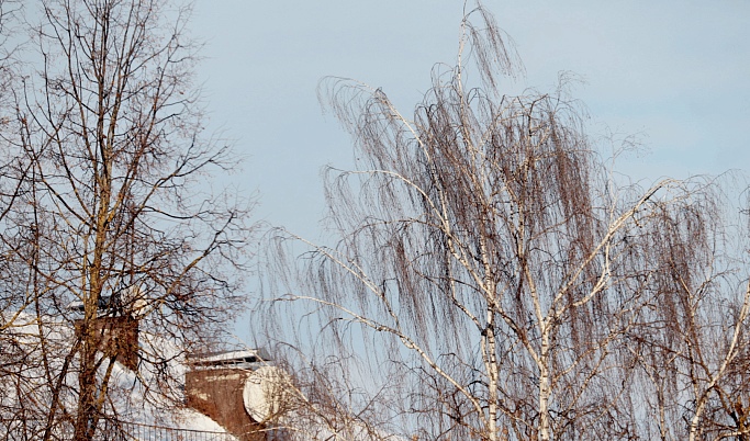 Сильный ветер обещают жителям Тверской области 22 января