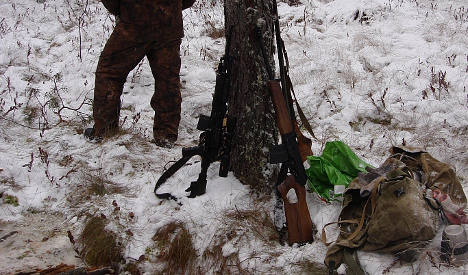 До 1 млн рублей заплатит браконьер за убитого лося в Тверской области