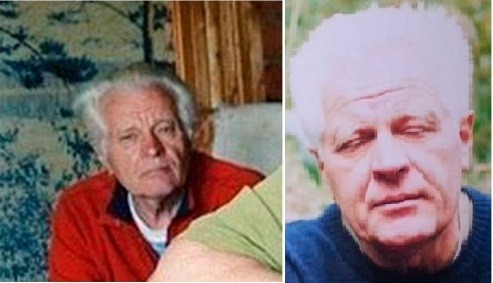 В Зубцовском районе ищут пропавшего 78-летнего дедушку