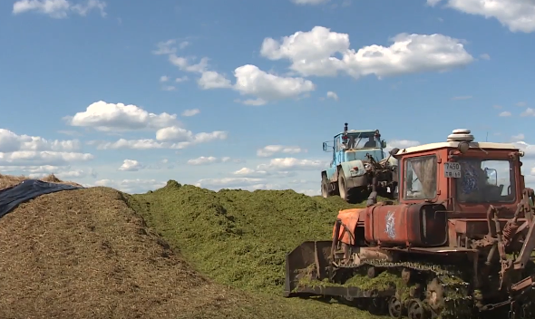 В Тверской области заготавливают корма для животноводства