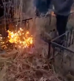 В Тверской области наказали директора горевшего кладбища