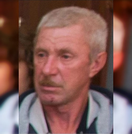 В Тверской области 4 неделю ищут 76-летнего мужчину