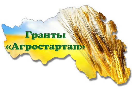 В Тверской области увеличили направления для получения грантов «Агростартап» 