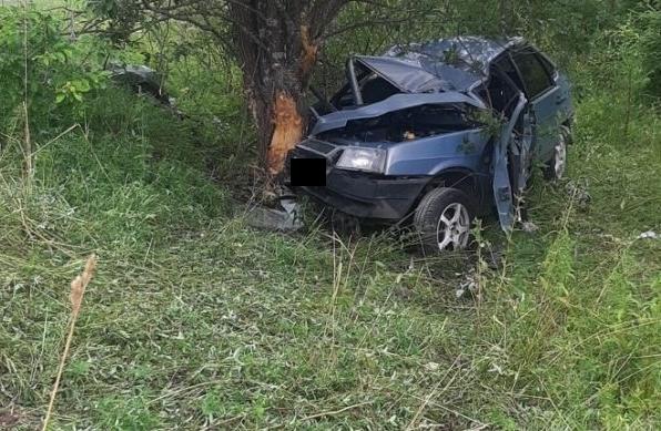 В Тверской области автомобиль протаранил дерево в кювете, один человек погиб 