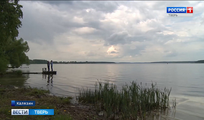 Более 5,3 миллиона мальков рыб выпустят в водоёмы Тверской области в этом году