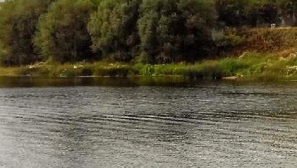 Пожарный спас двух мужчин на озере в Тверской области