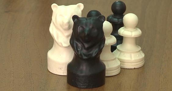Жители Твери смогут сыграть в медвежьи шахматы