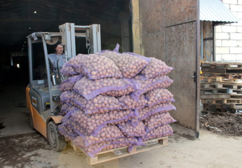 Житель Старицкого района передал фермерам Донбасса 25 тонн семенного картофеля
