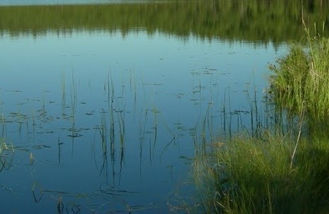 В озере Деминец Тверской области утонул мужчина