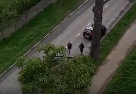В центре Твери водители пытались убрать с дороги поваленное дерево