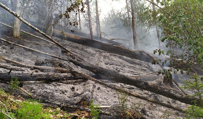 С начала пожароопасного сезона в Тверской области ликвидировали 8 лесных пожаров