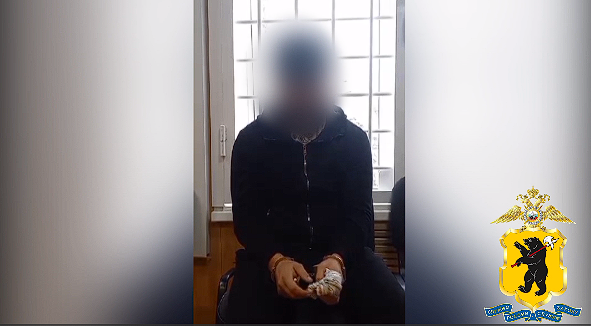 В Тверской области задержали злоумышленника с мачете, отрубившего мужчине кисть руки