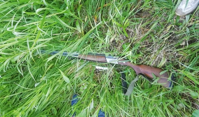 Жителям Тверской области разрешили отстрелить более 2 тысяч лосей