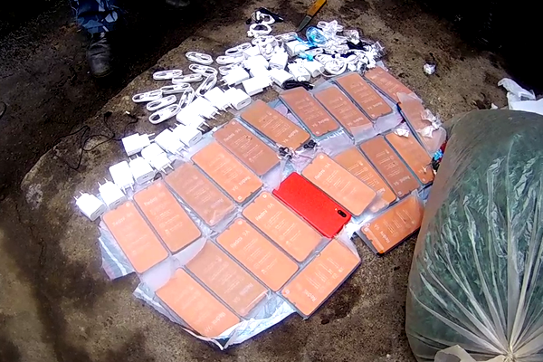 В исправительную колонию Тверской области пытались провезти телефоны в лепестках