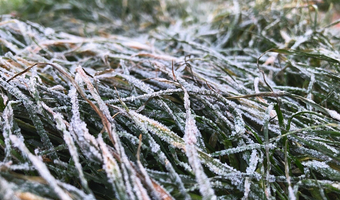 В выходные в Тверской области сохранятся заморозки до -2 градусов