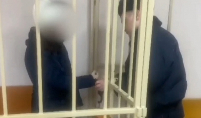 Избившая младенца мать в Тверской области предстанет перед судом