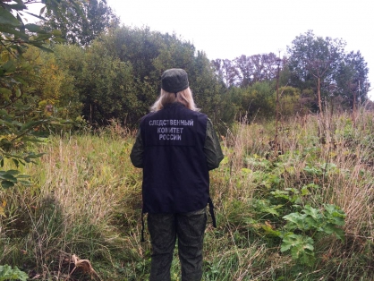 Грибники обнаружили в лесу Ржевского района тело мужчины