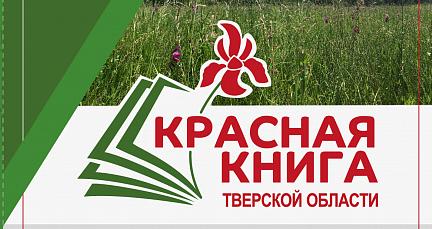 На конкурс «Красная книга Тверской области глазами детей» начался прием работ