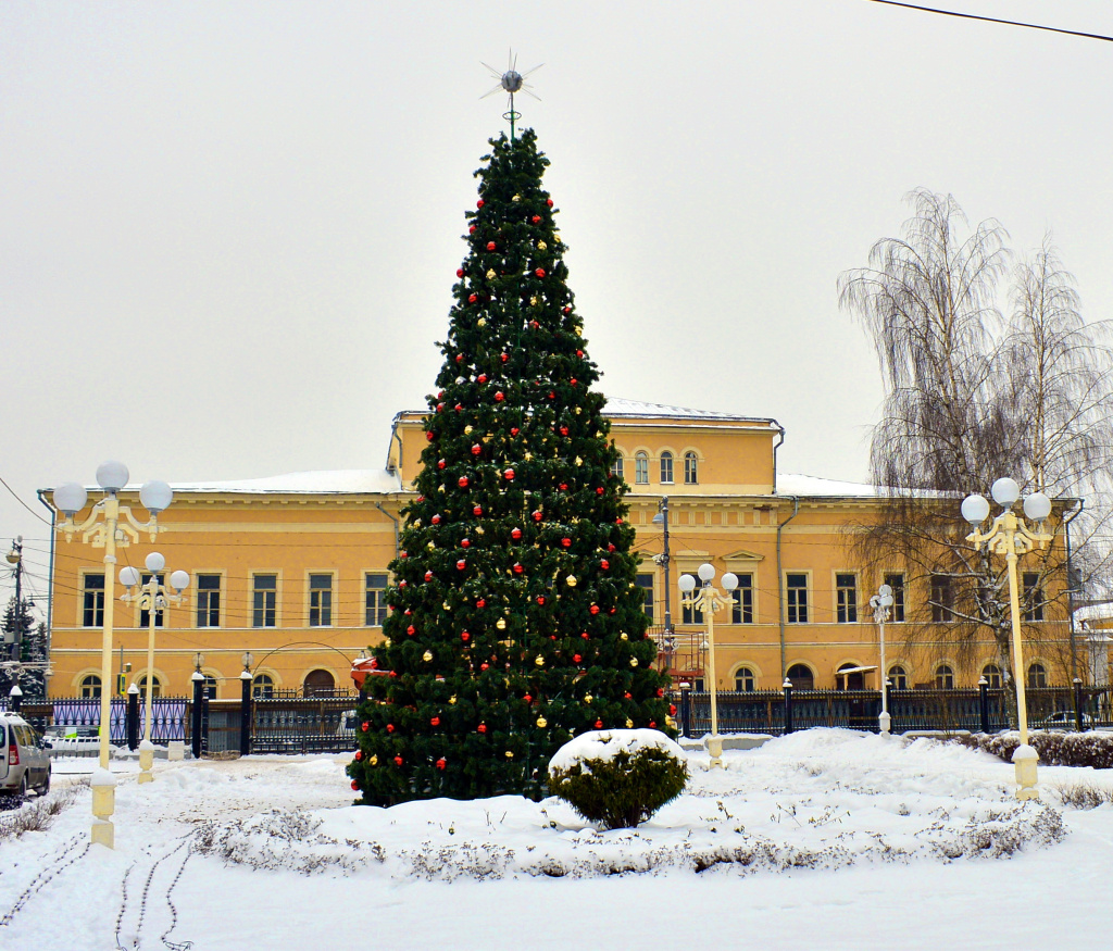 В Твери установили первые новогодние ели в Горсаду и парке Победы