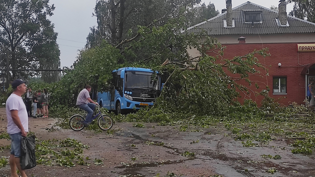 В Ржеве из-за ураганного ветра поваленные деревья придавили автобус