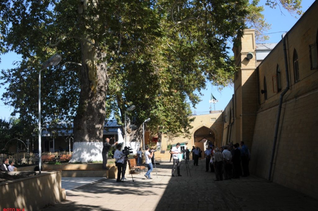 «Российское дерево года» предлагают поддержать жителям Тверской области в голосовании на международном конкурсе