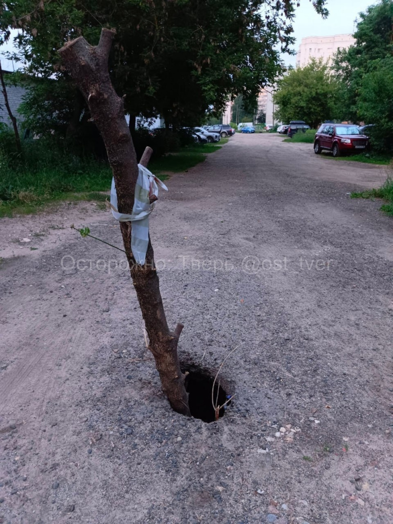 На улице Коробкова в Твери образовалась яма в асфальте