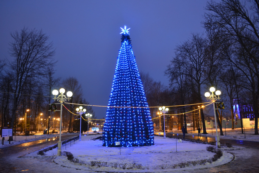 Районы Твери к Новому году украсят 19 елок и светодиодный «Мишка» 