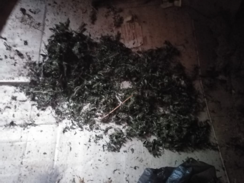 Житель Тверской области хранил в доме около 2 кг конопли