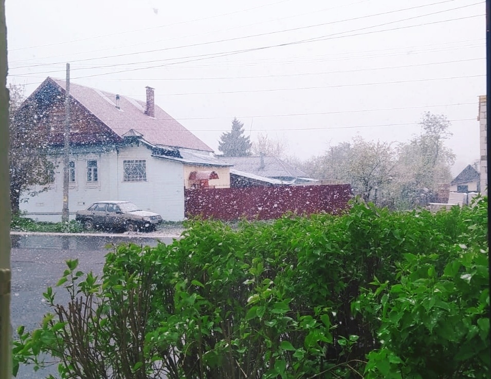 В Тверской области прошел майский снег