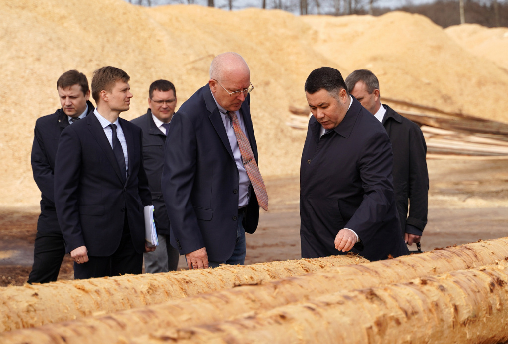 Около 189 млн рублей планируют направить на поддержку леспрома Тверской области 