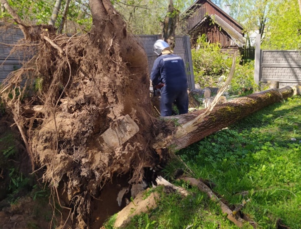 В Торжке от ураганного ветра пострадал детский сад