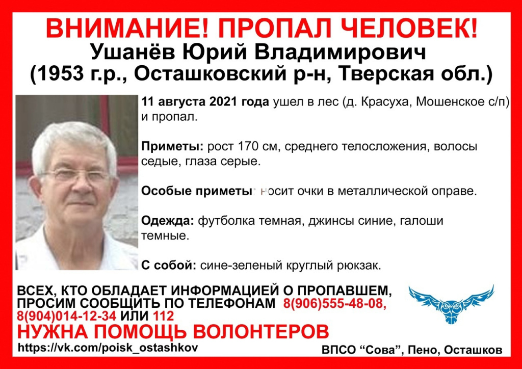 В Тверской области неделю назад пенсионер ушел в лес и пропал 