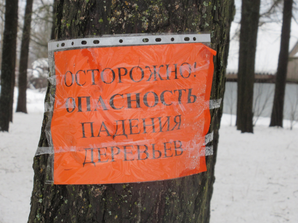 Парк в Рамешках Тверской области временно закрыли из-за поломанных деревьев 