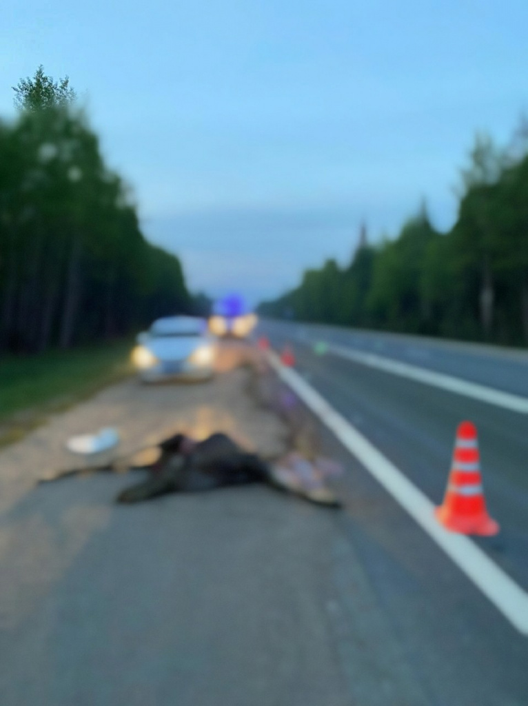 В Тверской области водитель «Лады» получил серьезные травмы при столкновении с лосем