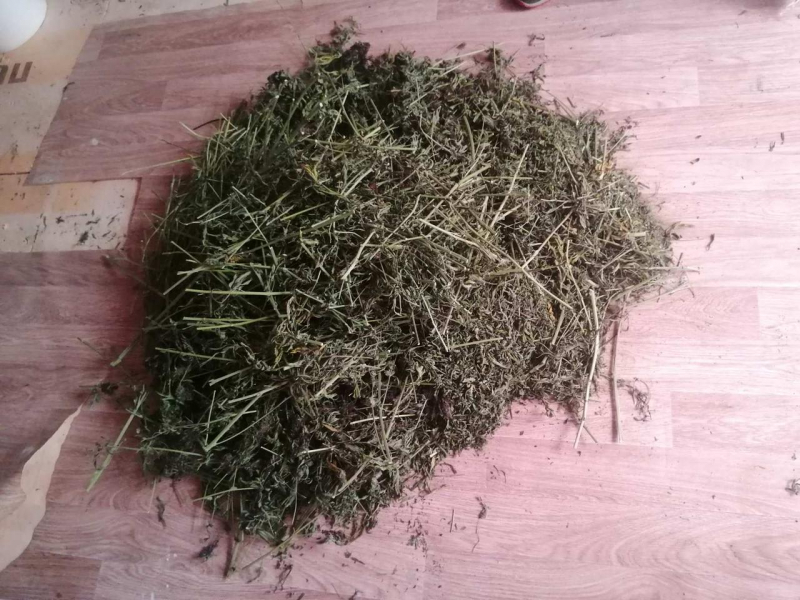 Житель Тверской области хранил дома 1,5 кг марихуана