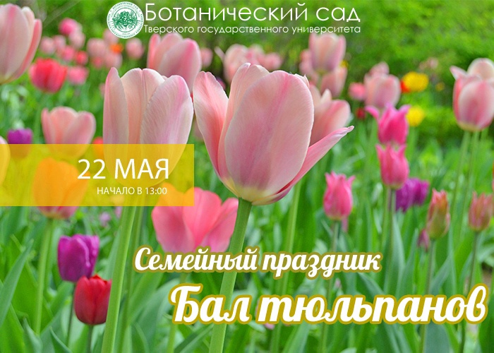 «Бал тюльпанов» пройдет в Ботаническом саду Твери