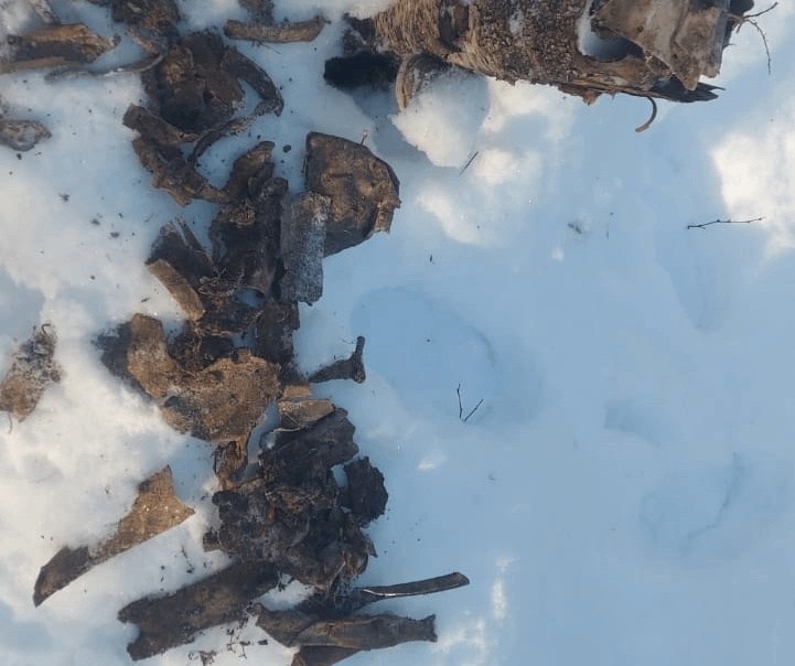 Ржевские поисковики обнаружили место падения военного самолета Пе-2