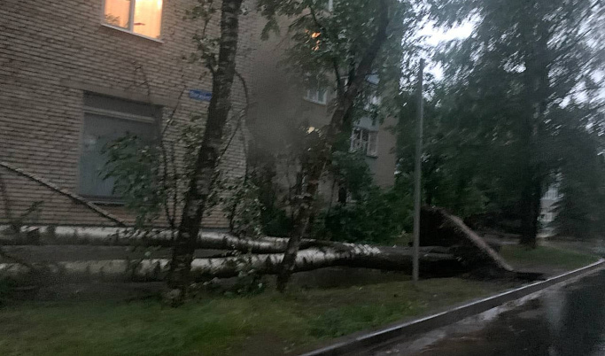 Ливни и сильный ветер: на Тверскую область обрушилась стихия