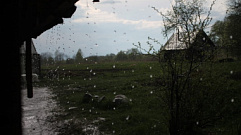 На Тверскую область надвигаются сильный ливень, грозы и град