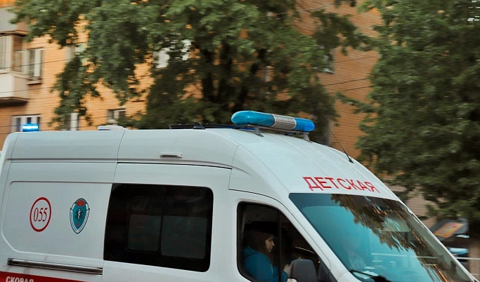 6-летняя девочка госпитализирована после нападения алабая в Тверской области