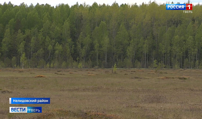 Центрально-Лесной заповедник в Тверской области отмечает 90-летие