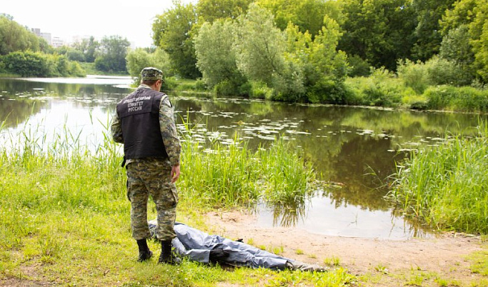 В Тверской области на берегу Кашинки обнаружили тело мужчины