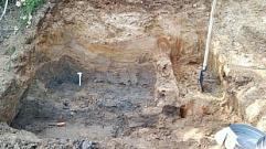 Мамонт в Тверской области: на месте нахождения доисторического животного продолжаются раскопки