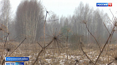 Земли сельхозназначения продолжают зарастать в Тверской области